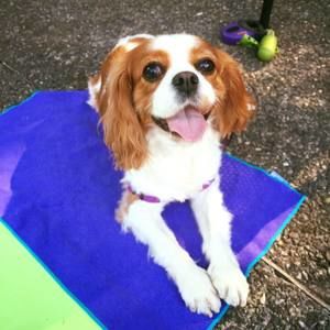 Meet your Posher, Jamie